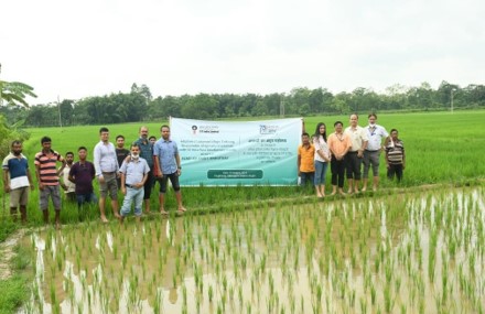 Sustainable Livelihood